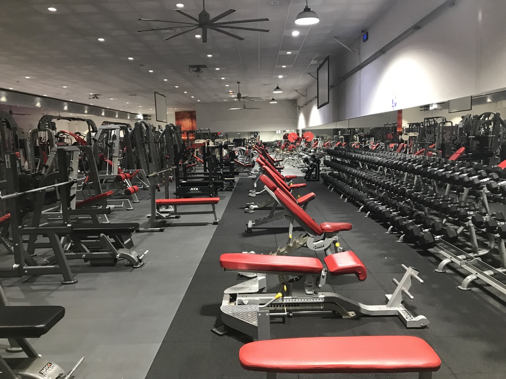 Contact SixFourslesPlages (83), SanarysurMer Biorythme